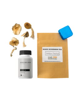 First Timer Magic Mushroom Kit: Psych 101 – An Introduction to Psychedelics