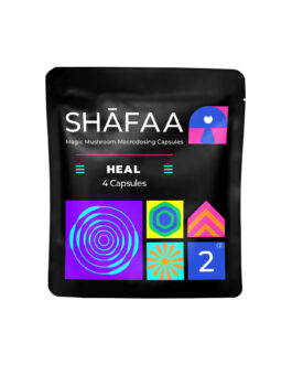 Shafaa Macrodosing Magic Mushroom Capsules – Penis Envy