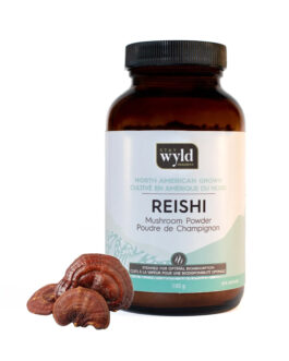 Stay Wyld Organics – Reishi Mushroom Powder (70g)