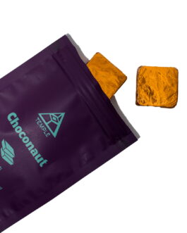 Temple Magic Mushroom Chocolate Choconaut Edibles